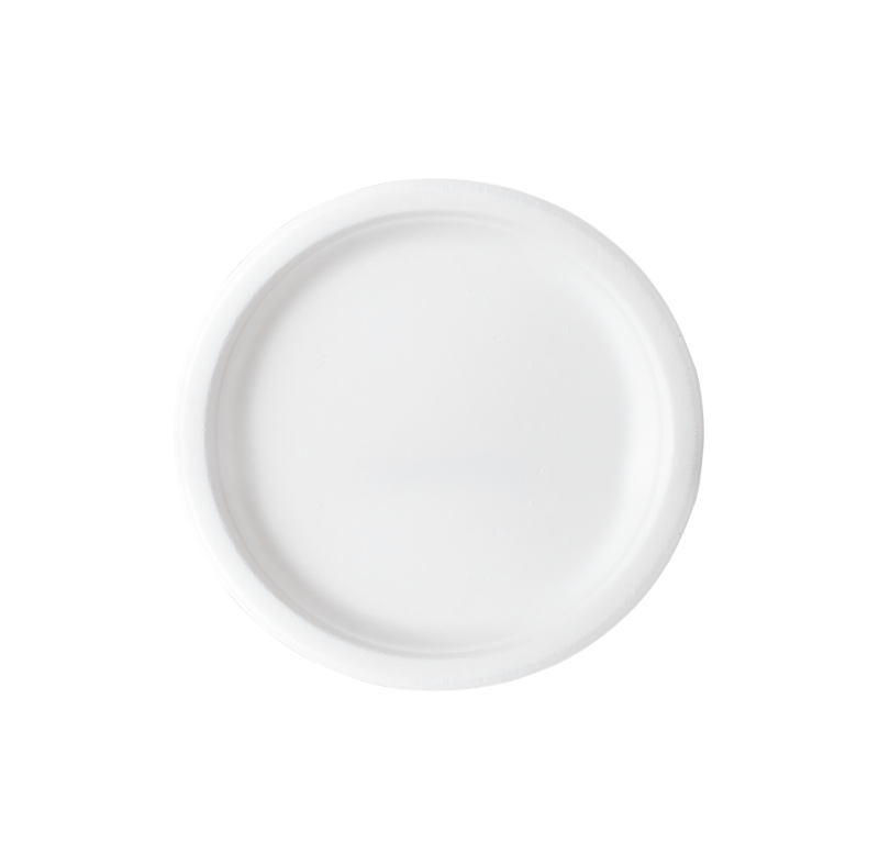 Plate 6'' Biodegradable Sugarcane Bagasse, case of 1000