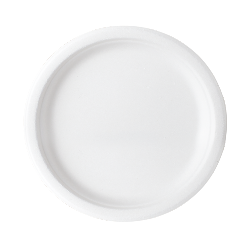 Plate 9'' Biodegradable Sugarcane Bagasse, Case of 500