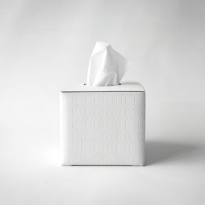 Bulk Facial Tissue Square boxes for hotels and motels – soft, white, and skin-friendly tissues.