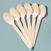 Compostable bio-based spoon for eco-friendly hotel dining