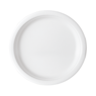 9-inch biodegradable sugarcane plate for banquet and hotel service.