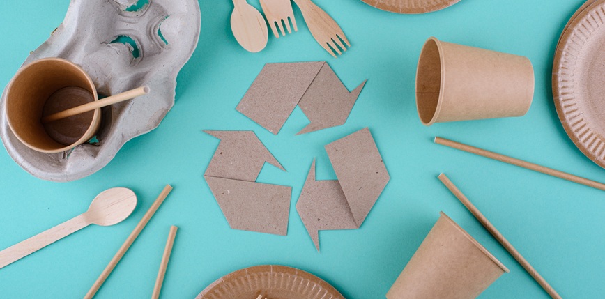 Eco-Friendly Upgrades Hotels Can Afford This Fall