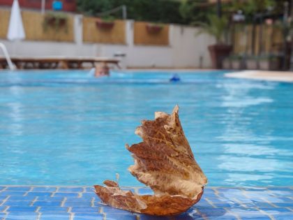 A dry maple leaf in a Hotel Swimming Pool